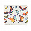 PRS20000-61 бабочки кошелек женский (кожа) Jane's Story