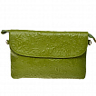 G-8999-71(цветы) зеленая сумка-клатч женская (кожа) Jane's story
