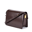 JS-96591-09 коричневая сумка женская (кожа) Jane's Story