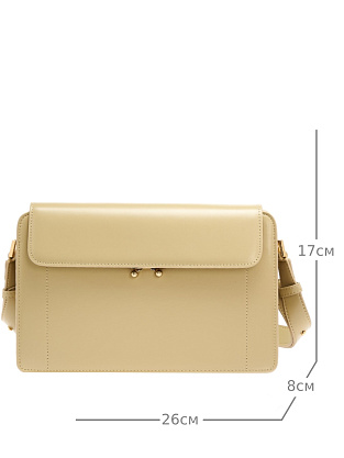 JS-9993-61 бежевая сумка женская (кожа) Jane's Story